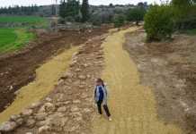 Arqueólogos hallaron un camino de hace 2.000 años cerca del Sendero Nacional de Israel