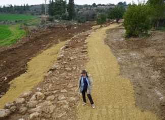 Arqueólogos hallaron un camino de hace 2.000 años cerca del Sendero Nacional de Israel