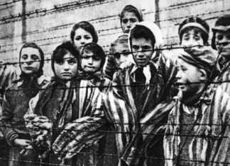 “Reflexiones” en el Día Internacional de Conmemoración en Memoria de las Víctimas del Holocausto, organizado por PAAZ