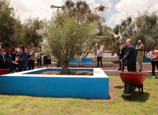 Se fortalece alianza y se consolida con el parque México-Israel y la plantación de un Olivo en Tecámac