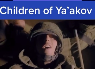 Ejercito de Israel en lucha