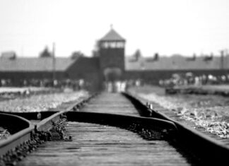 ¿Quién murió realmente en Auschwitz?