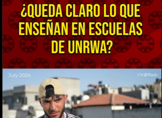 Le preguntan a estudiante de una escuela de UNRWA: «¿La escuela te enseña algo acerca de la paz?»