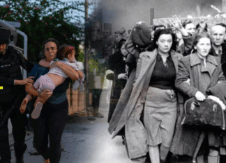 Daniel Fainstein / Entre el recuerdo y la responsabilidad: no confundir Shoá con el 7 de octubre