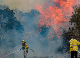 ‘Emergencia nacional’: enormes incendios alrededor de Jerusalén; las FDI intervienen; se busca ayuda extranjera