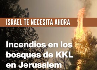 ISRAEL TE NECESITA AHORA