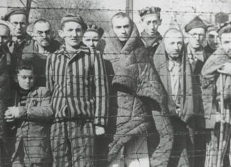 Día Del Sobreviviente Del Holocausto (04 de Junio)